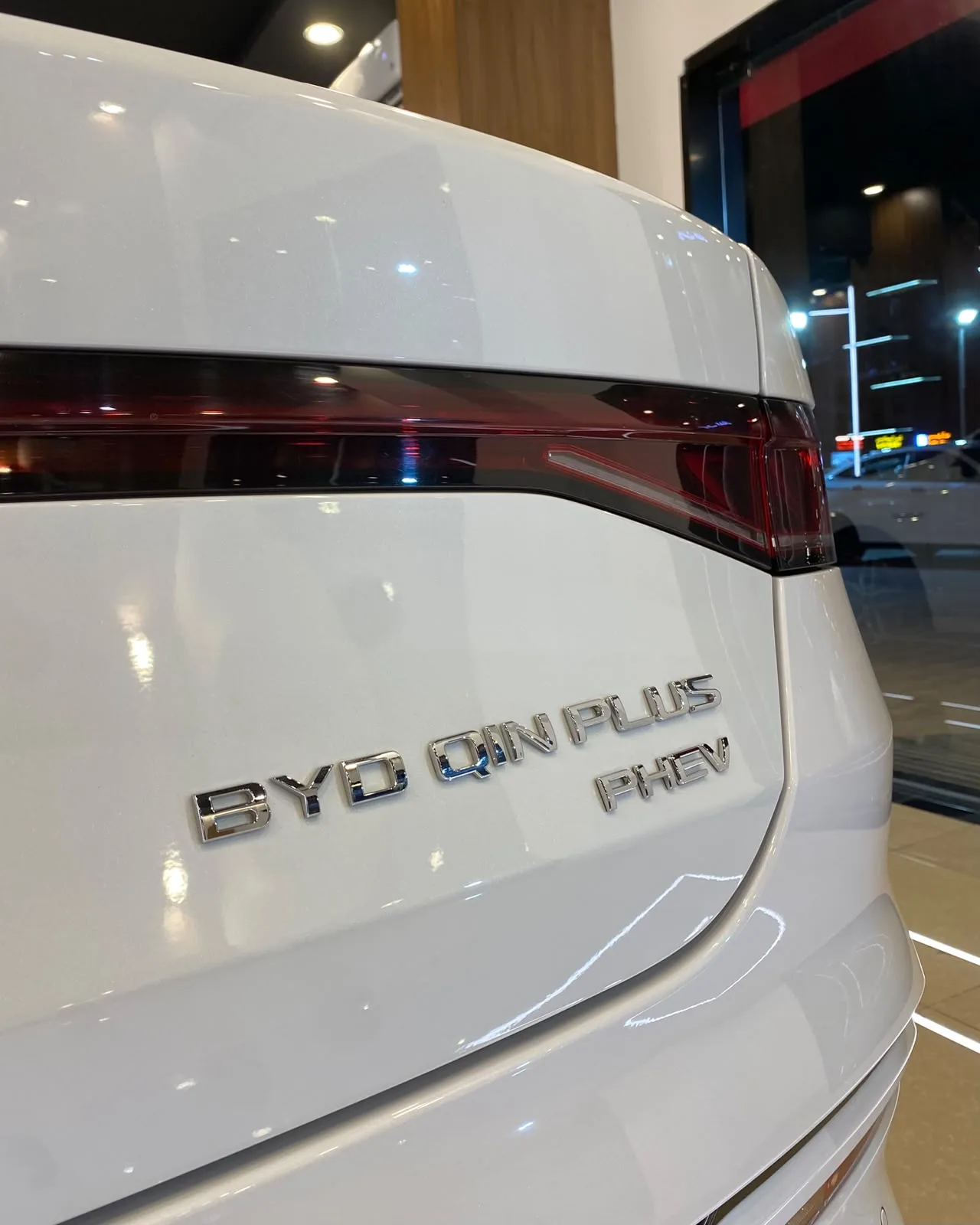 2024 2025 QIN PLUS PREMIUM TRIM 2025